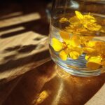 Gorse-Infused Gin
