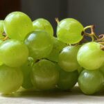 Prosecco Grapes